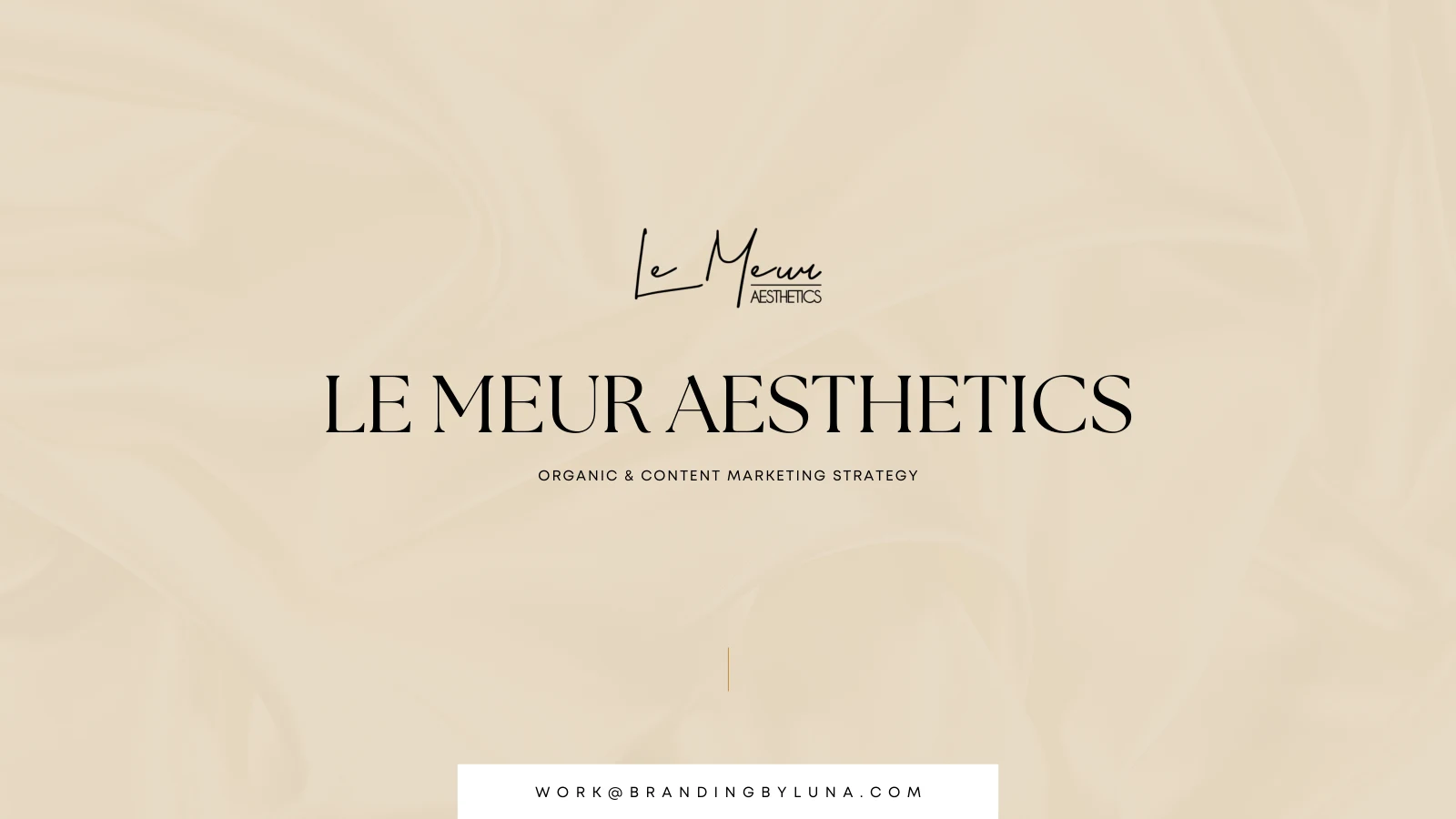 Le Meur Aesthetics case study
